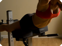 Body Solid Benches and Racks