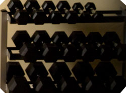 body solid storage