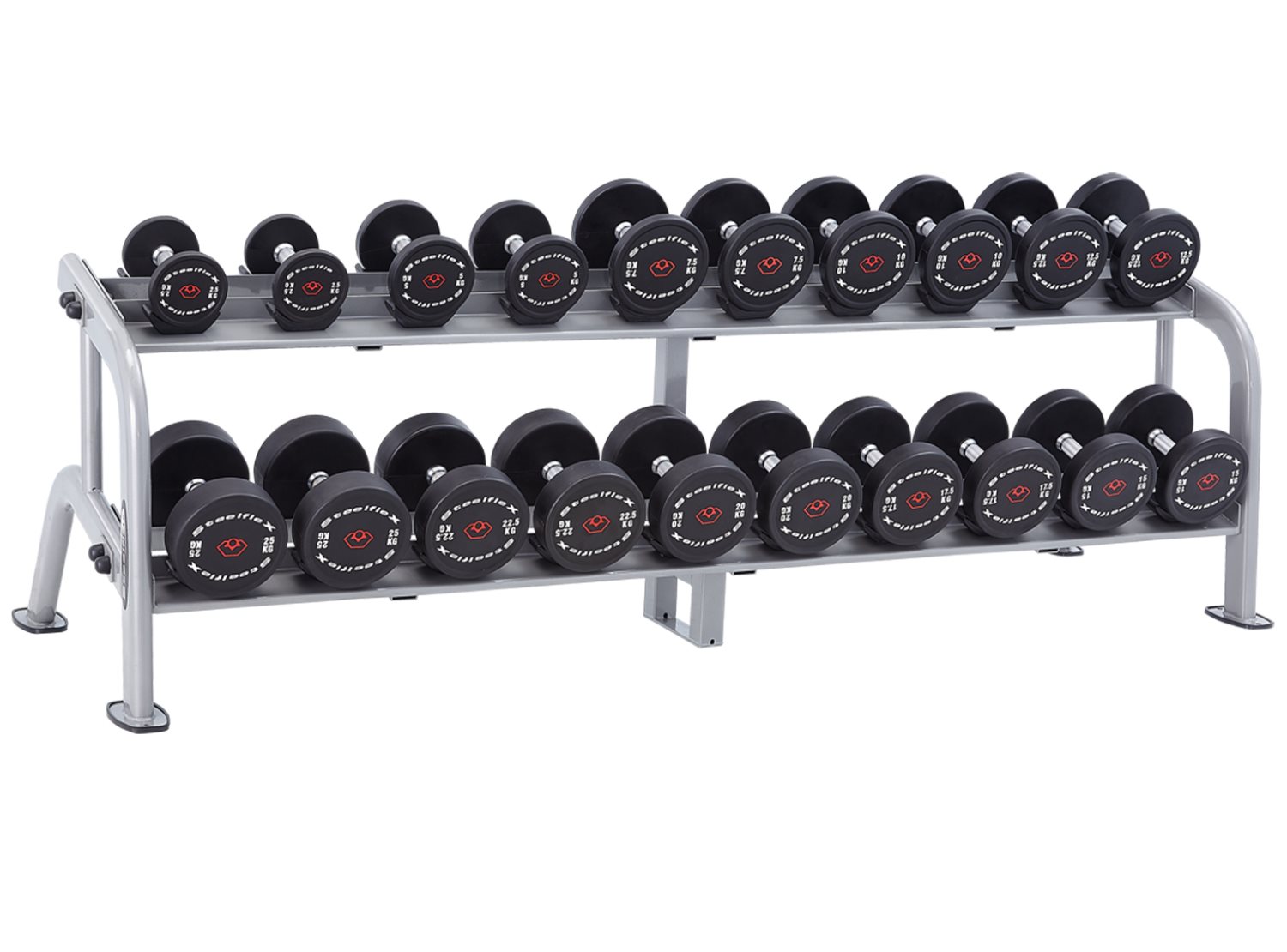 2Tier Dumbbell Rack (NDR2) BodySolid® Fitness OFFICIAL UK SITE