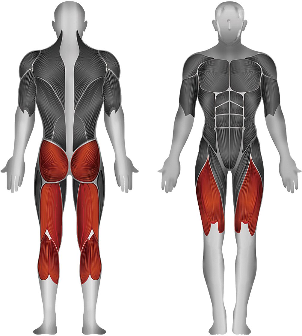 CL2SL Squat & Lunge Machine BodySolid® Fitness OFFICIAL UK SITE